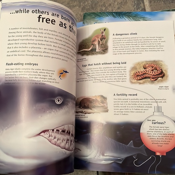 7 “so many ways” books with birds, reptiles, animals etc - Picture 10 of 12